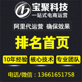阿里巴巴代運(yùn)營(yíng)